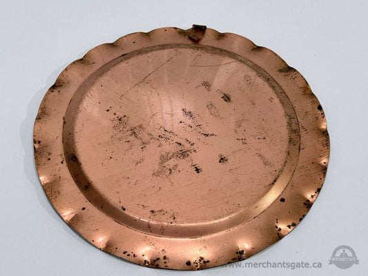 Vintage Copper Decorative Wall Plate La Batts Fishing Award Bill Dorion 10.5"
