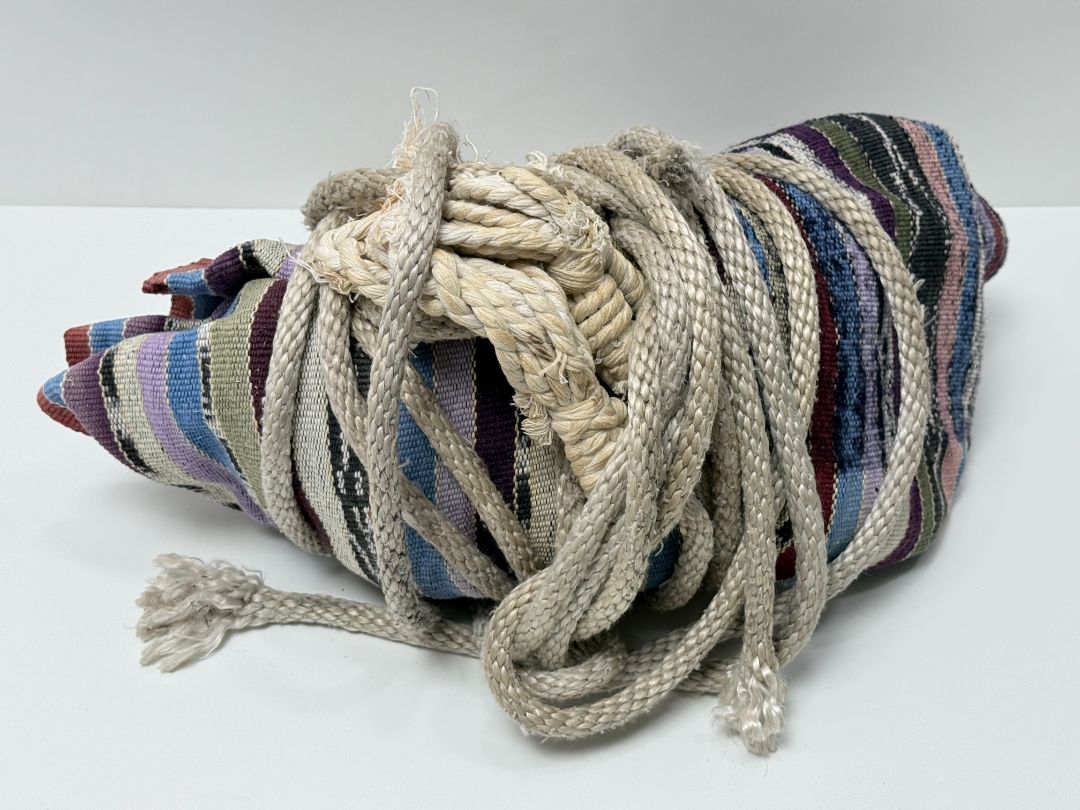 Large Woven Tapestry Fabric Hammock with Thick Braided Ropes 12f