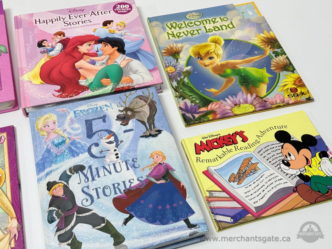 Large Disney Kids Book Lot • Little Mermaid Series • Princess • Frozen • Tinker Bell