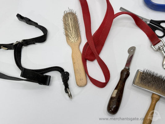 Dog Grooming Tools Lot Brushes Combs Leashes Nail Trimmer Shedding Tools