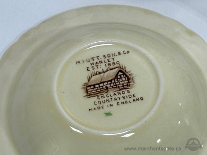 Vintage Myott England Countryside Tea Set – 16 pcs Cups Plates Creamer