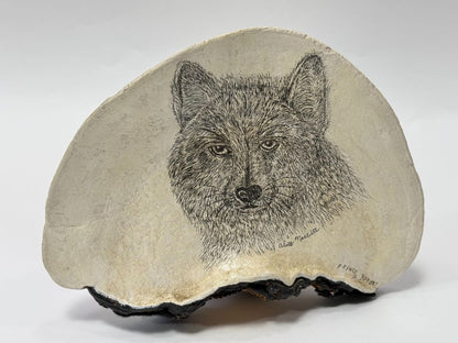 Hand-Drawn Wolf on Wood-Like Shelf Fungus