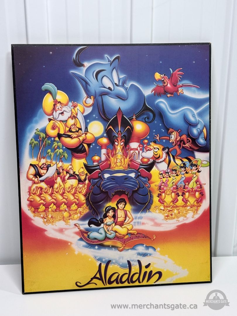 Disney Aladdin Framed Poster Print 16" x 20" Genie Jasmine Wall Art