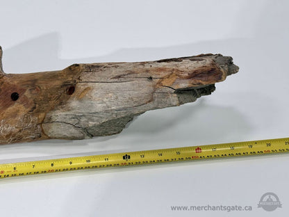 Hand Carved Wood Spirit Driftwood Wall Hanging 19" Rustic Folk Art