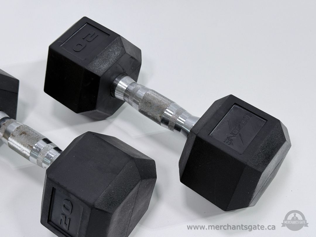 Pair of GoZone 20 lb Rubber Hex Dumbbells Weights 40 lb Total Home Gym