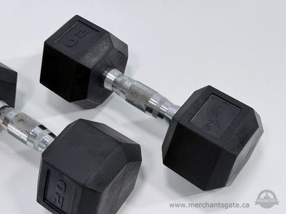 Pair of GoZone 20 lb Rubber Hex Dumbbells Weights 40 lb Total Home Gym