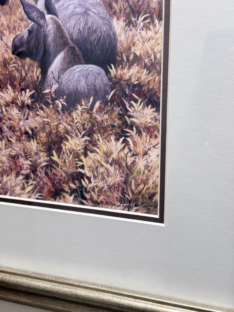 Robert Bateman “Fall Forage” Moose and Calf Framed Wildlife Print