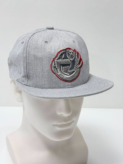Vancouver Grizzlies Mitchell & Ness Hardwood Classics Snapback Cap Grey