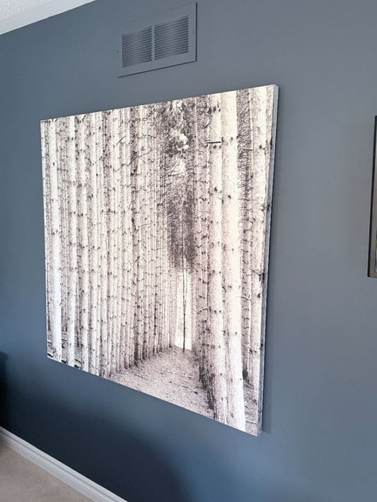 Large Black and White Forest Canvas Wall Art Print Gallery Wrapped 44.25" Square