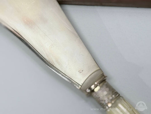 Vintage Silver-Plated Fish Serving Knife & Fork Set with Bone Handles in Fitted Case