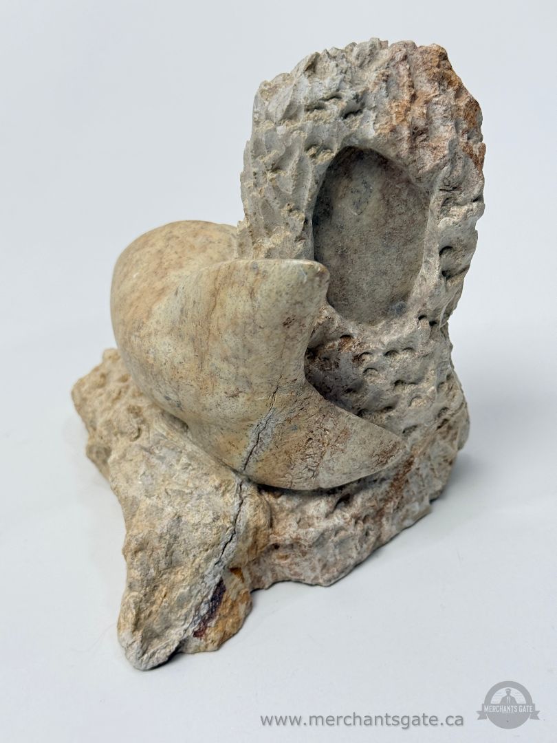 Stone Shark Bookends Pair Carved Stone Nautical Decor