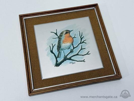 John Heaton Framed Bird Art – Mounted Wildlife Print on Board – 9" x 9"