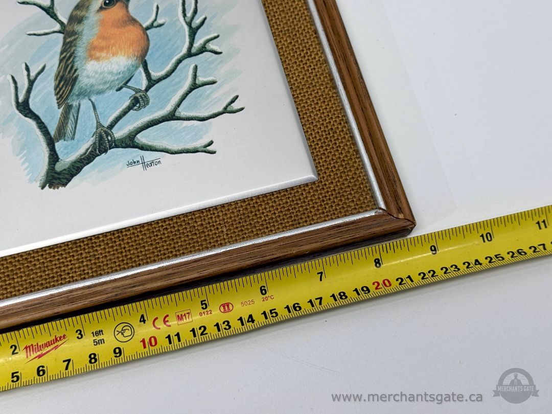 John Heaton Framed Bird Art – Mounted Wildlife Print on Board – 9" x 9"