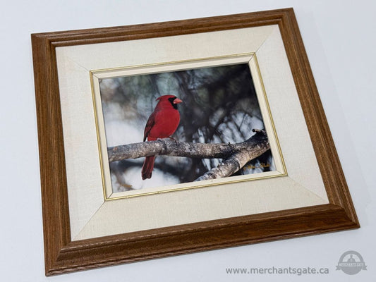 Framed Limited Edition Cardinal Photograph – Northern Cardinal No. 3 – 10/750