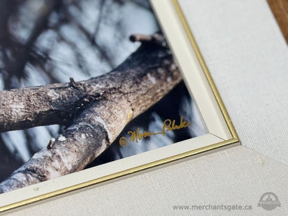 Framed Limited Edition Cardinal Photograph – Northern Cardinal No. 3 – 10/750