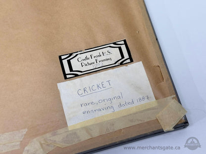 Antique 1887 Cricket Engraving – “Cricket at Hastings” Framed Print